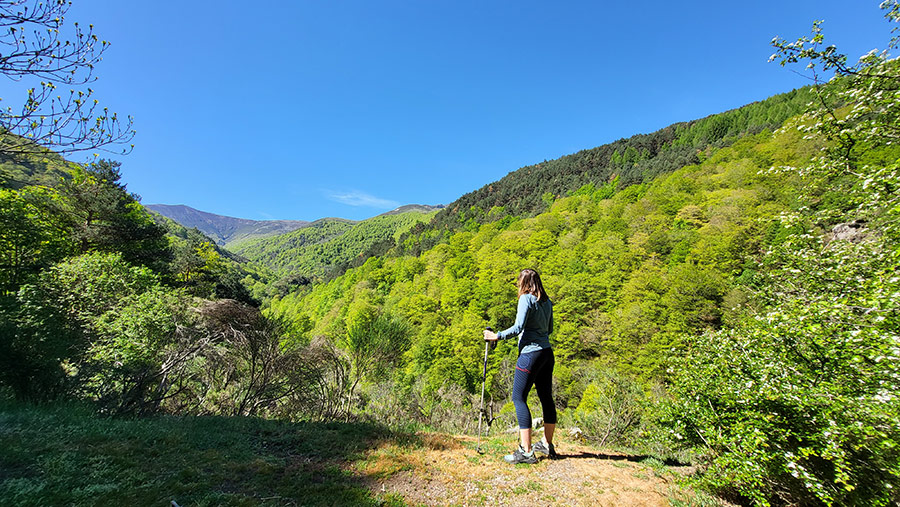 Curva de los cuatro vientos, subida a la Cueva del Santo